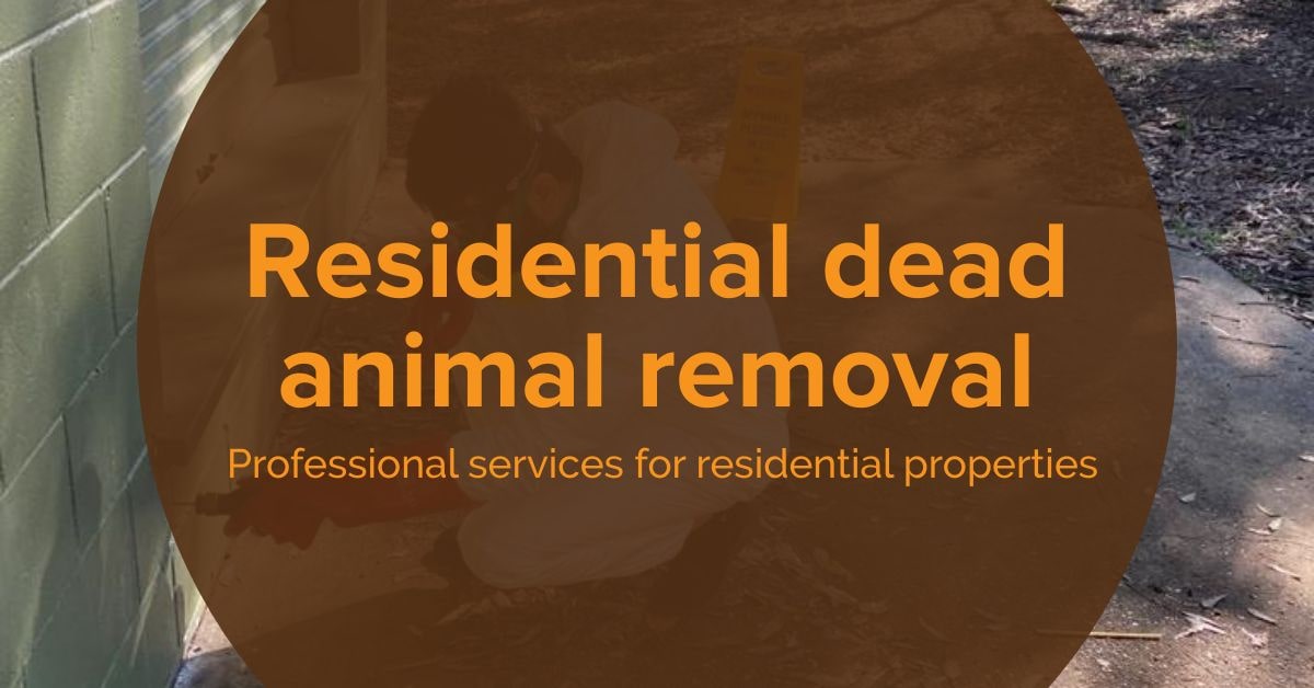 Dead Animal Removal Services