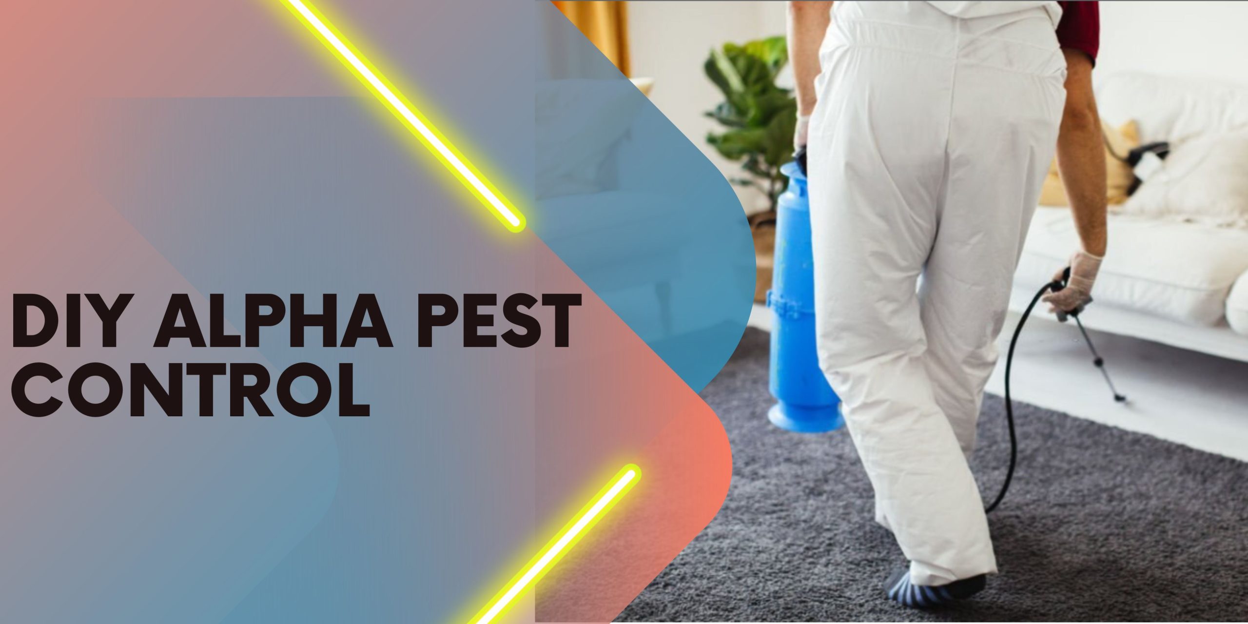 DIY Pest Control – Alpha Pest Control