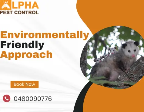 Environmentally Friendly Approach