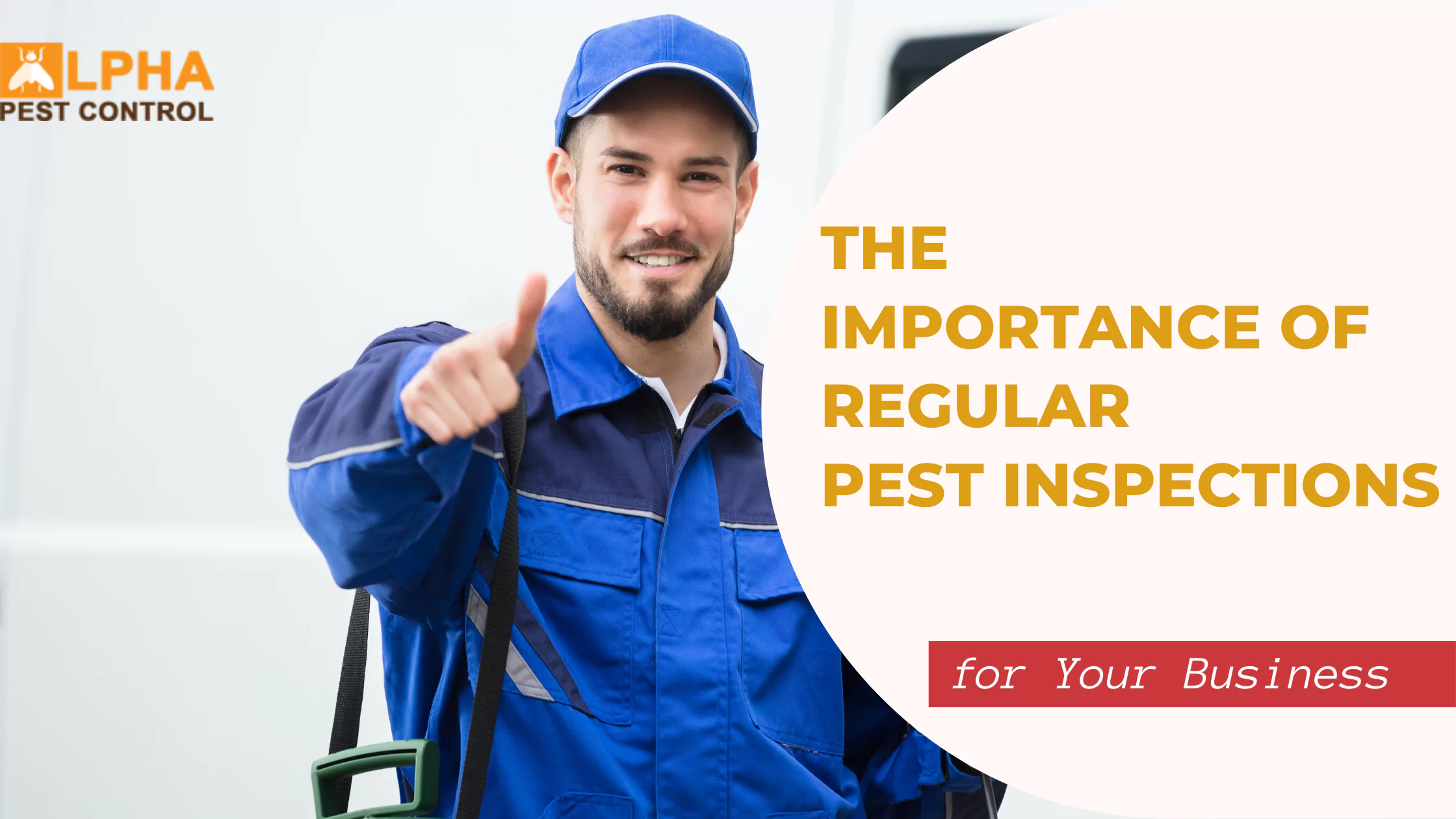 The Importance of Regular Pest Inspections for Your Business