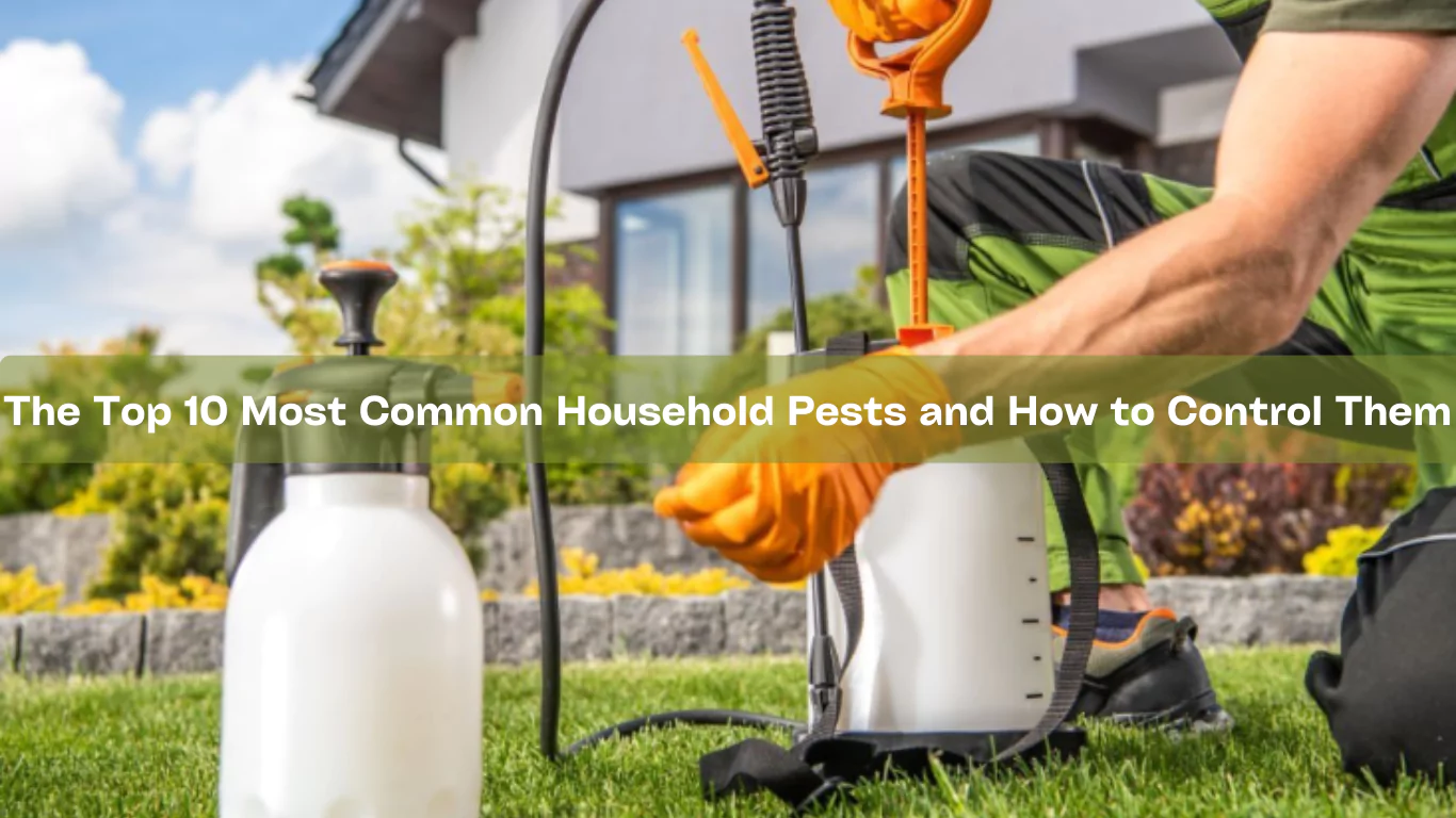 Top 10 Most Common Household Pests and How to Control Them