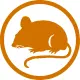 Dead Rodent Removal